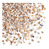 Mini Natural Shell Beads BSHE-PH0001-57A-6