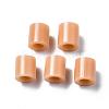 PE Fuse Beads DIY-R013-18-3