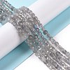 Natural Labradorite Beads Strands G-D0003-B10-4