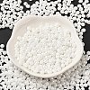 6/0 Glass Seed Beads SEED-M012-01A-16-2