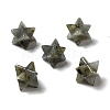Natural Labradorite Beads G-A206-01B-14-1