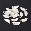 Natural Freshwater Shell Connector Charms SHEL-H001-11-4