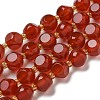 Natural Carnelian(Dyed & Heated) Beads Strands G-K387-A12-02-2