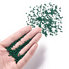 12/0 FGB Grade A Round Glass Seed Beads SEED-N001-A-1029-4