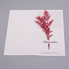 Paper Cards DIY-WH0183-41E-2