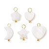 Natural Freshwater Shell Pendants PALLOY-JF02416-02-1