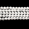 Natural Howlite Beads Strands G-E608-A01-C-2