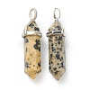 Natural Dalmatian Jasper Pointed Pendants G-M378-01P-A10-2