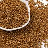 8/0 Baking Paint Glass Seed Beads X1-SEED-M012-02A-51-1