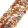 Flat Round Natural Crazy Lace Agate Beads Strands G-S110-12mm-05-1