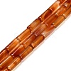 Dyed Natural Agate Beads Strands G-G203-01I-2