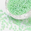 8/0 Glass Seed Beads SEED-US0003-3mm-144-1