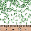 8/0 Glass Seed Beads SEED-S006-34-4
