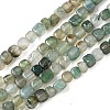 Natural Dragon Veins Agate(Dyed & Heated) Beads Strands G-G177-E11-03-1