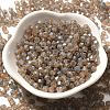 Picasso Baking Paint Glass Seed Beads SEED-A032-02A-13-2