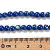 Assembled Synthetic Stone and Trochus Shell Beads Strands G-B128-08A-05-4
