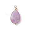 4Pcs 4 Styles Natural Amethyst & Rose Quartz & Green Aventurine & Dyed Quartz Teardrop Charms with Brass Bails PALLOY-JF04268-01-2