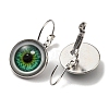 Eye Glass Leverback Earrings with Brass Earring Pins EJEW-Q798-01E-2