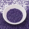 MIYUKI Delica Beads X-SEED-J020-DB1810-3