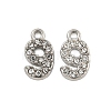 304 Stainless Steel Pendants STAS-L080-002P-09-1
