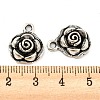 Alloy Pendants X-FIND-G065-14AS-3