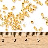 Glass Seed Beads SEED-S042-04B-12-4
