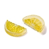 Resin Cabochons RESI-Z032-04C-2