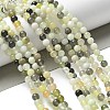 Natural New Jade Beads Strands X-G-F591-16-6MM-8