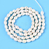 Natural Cultured Freshwater Pearl Beads Strands PEAR-N024-04-2AB-3