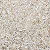 TOHO 8/0 Round Beads SEED-XTR08-0021-2