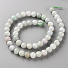 Natural Jadeite Beads Strands X-G-S362-104B-2