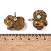 Natural Tiger Eye Carved Pendants GG-CBA105B-03I-G-3