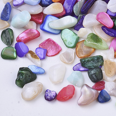 Natural Freshwater Shell Beads X-SHEL-N003-03-1