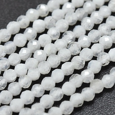 Natural Rainbow Moonstone Beads Strands X-G-O186-D02-1