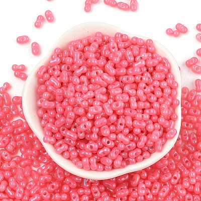Baking Paint Glass Seed Beads SEED-L011-09A-16-1