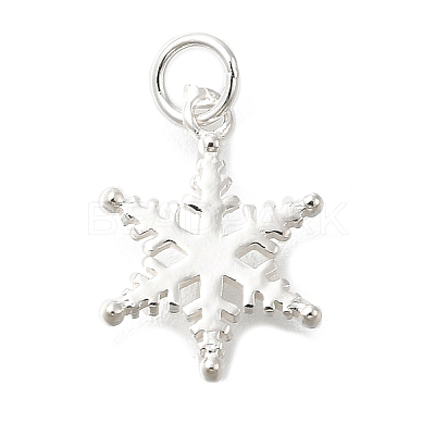 925 Sterling Silver Pendants STER-Q003-01B-S-1