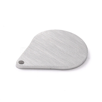 Tarnish Resistant 304 Stainless Steel Pendants STAS-F271-05B-P-1