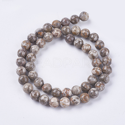 Natural Maifanite/Maifan Stone Beads Strands G-I187-8mm-01-1