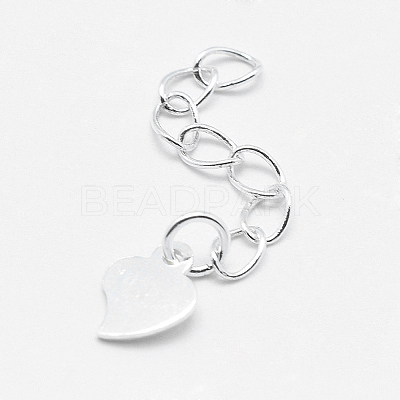 925 Sterling Silver Extender Chains STER-F032-10S-1