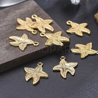 Alloy Pendants TIBEP-A040-037G-NR-1