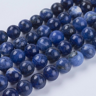 Natural Sodalite Beads Strands G-G515-10mm-07-1