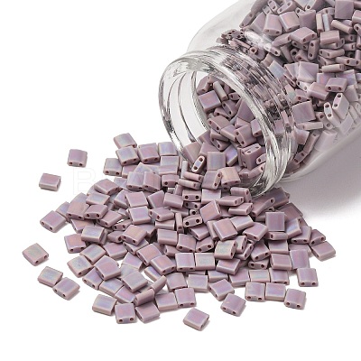 MIYUKI TILA Beads X-SEED-J020-TL410FR-1