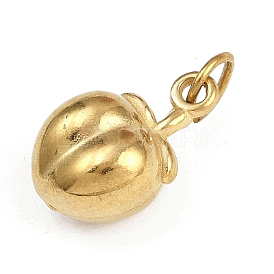304 Stainless Steel Charms STAS-L296-07G-01-1
