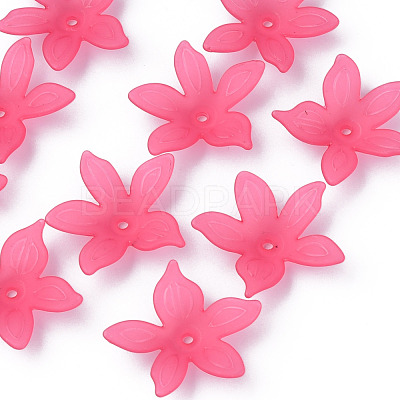 Transparent Acrylic Beads MACR-S373-127-D-1