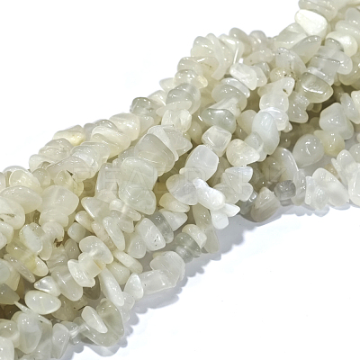 Natural White Moonstone Chip Beads Strands G-E271-112-1