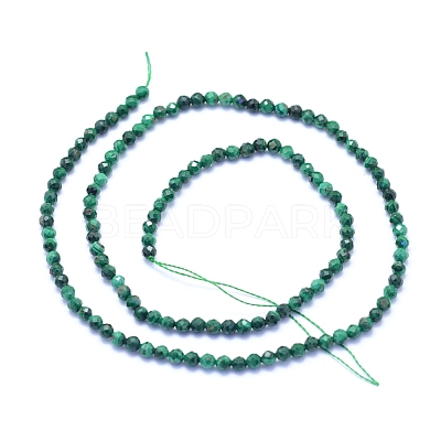 Natural Malachite Beads Strands G-I279-E15-02-1