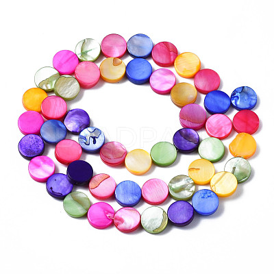 Natural Freshwater Shell Beads Strands SHEL-S278-018-1