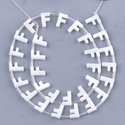 Natural Freshwater Shell Beads SHEL-T012-59F-1