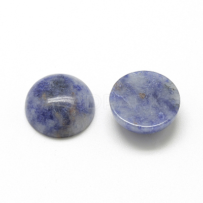 Natural Blue Spot Jasper Cabochons G-R416-10mm-45-1
