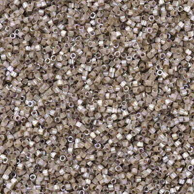 MIYUKI Delica Beads X-SEED-J020-DB0680-1